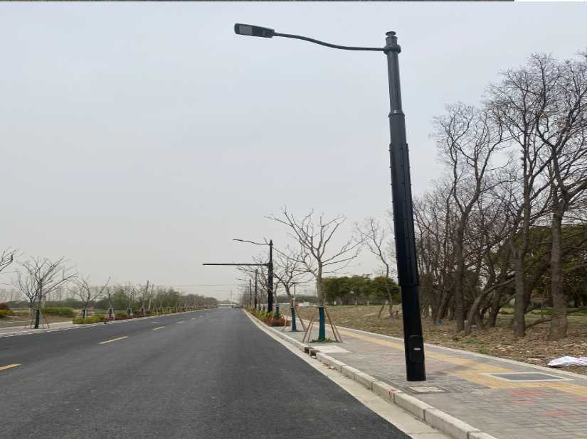 尖扎县上海综合杆 太阳能路灯工程
